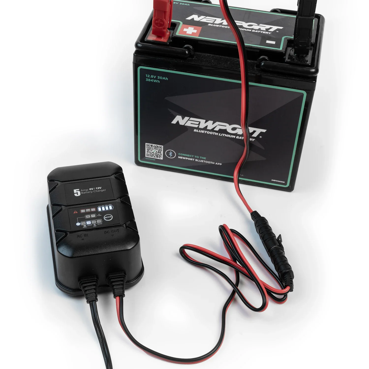 12V Battery Charger - Image 4