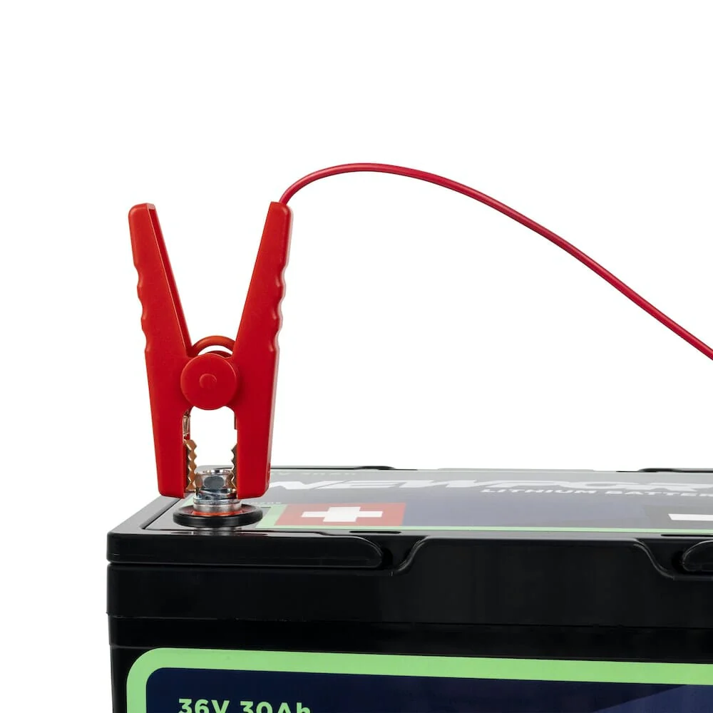 36V Battery Charger - Image 4